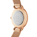 DW Rose Gold le fond Blanc DW00100220