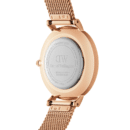 DW Rose Gold le fond Noir DW00100220
