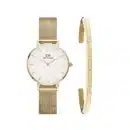 Montre Daniel Wellington DW00100220