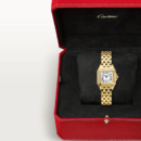 Cartier Panthère de Cartier Or Jaune